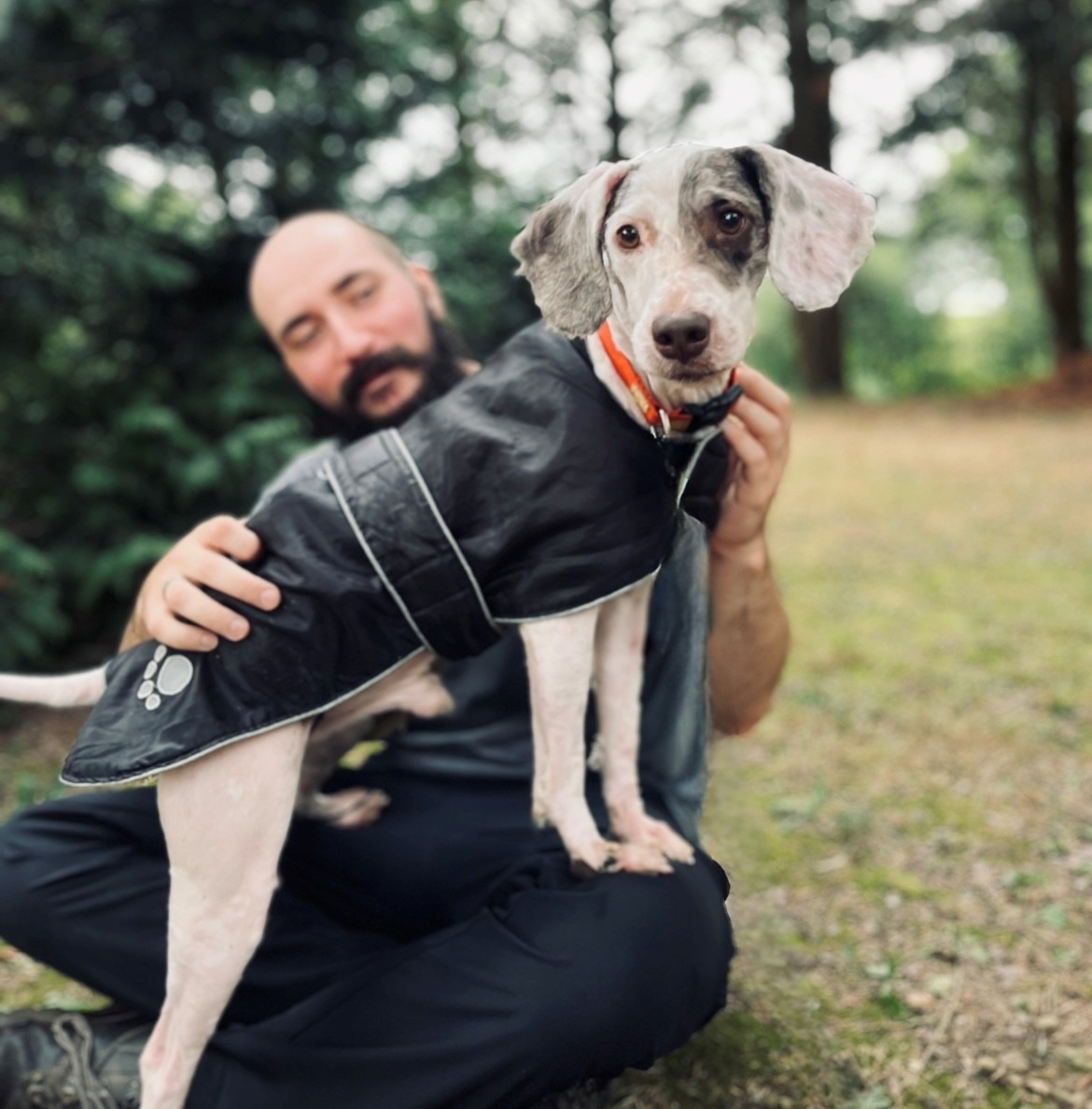 Photo de l'animal à adopté