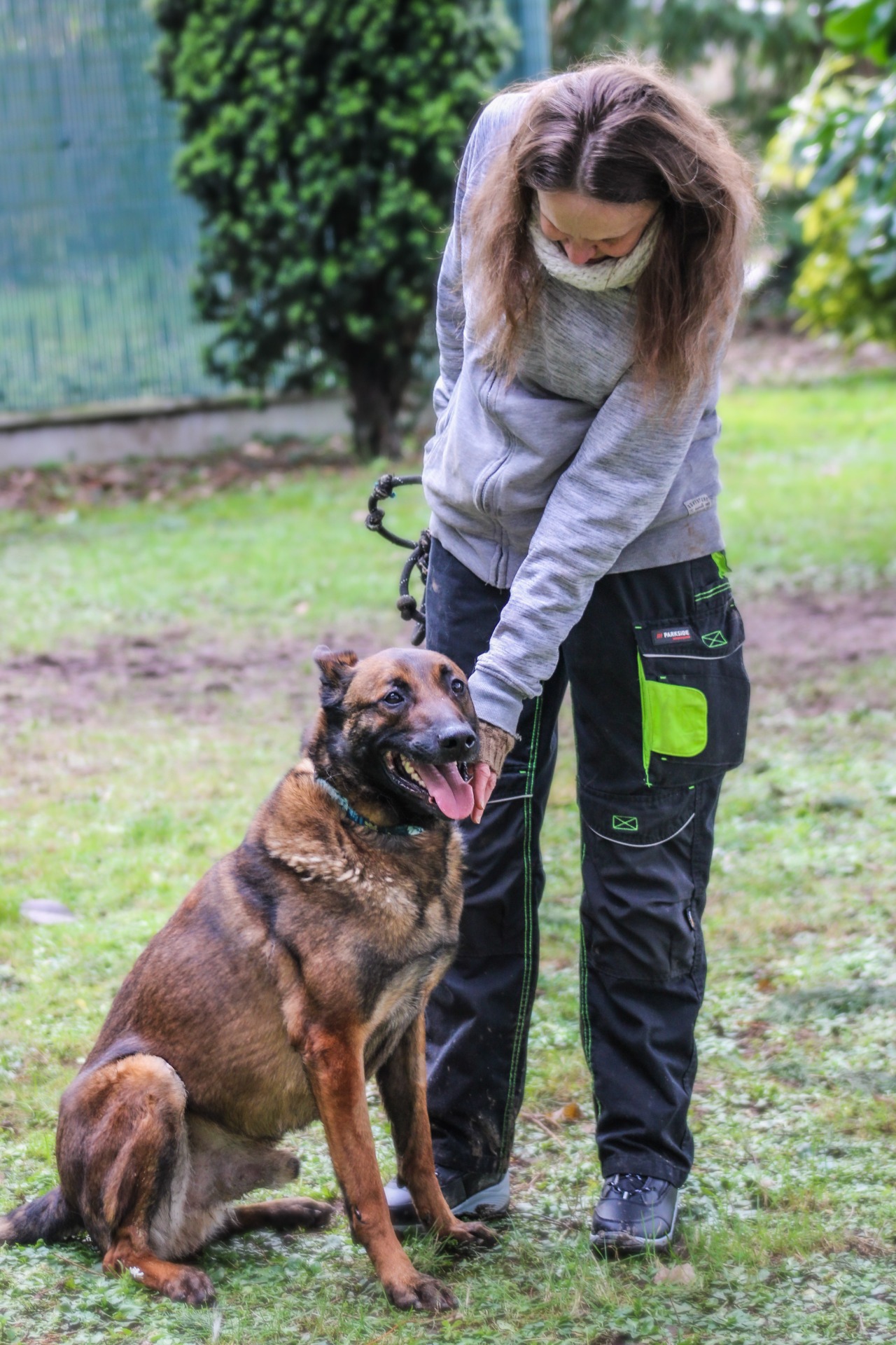 Photo de l'animal à adopté