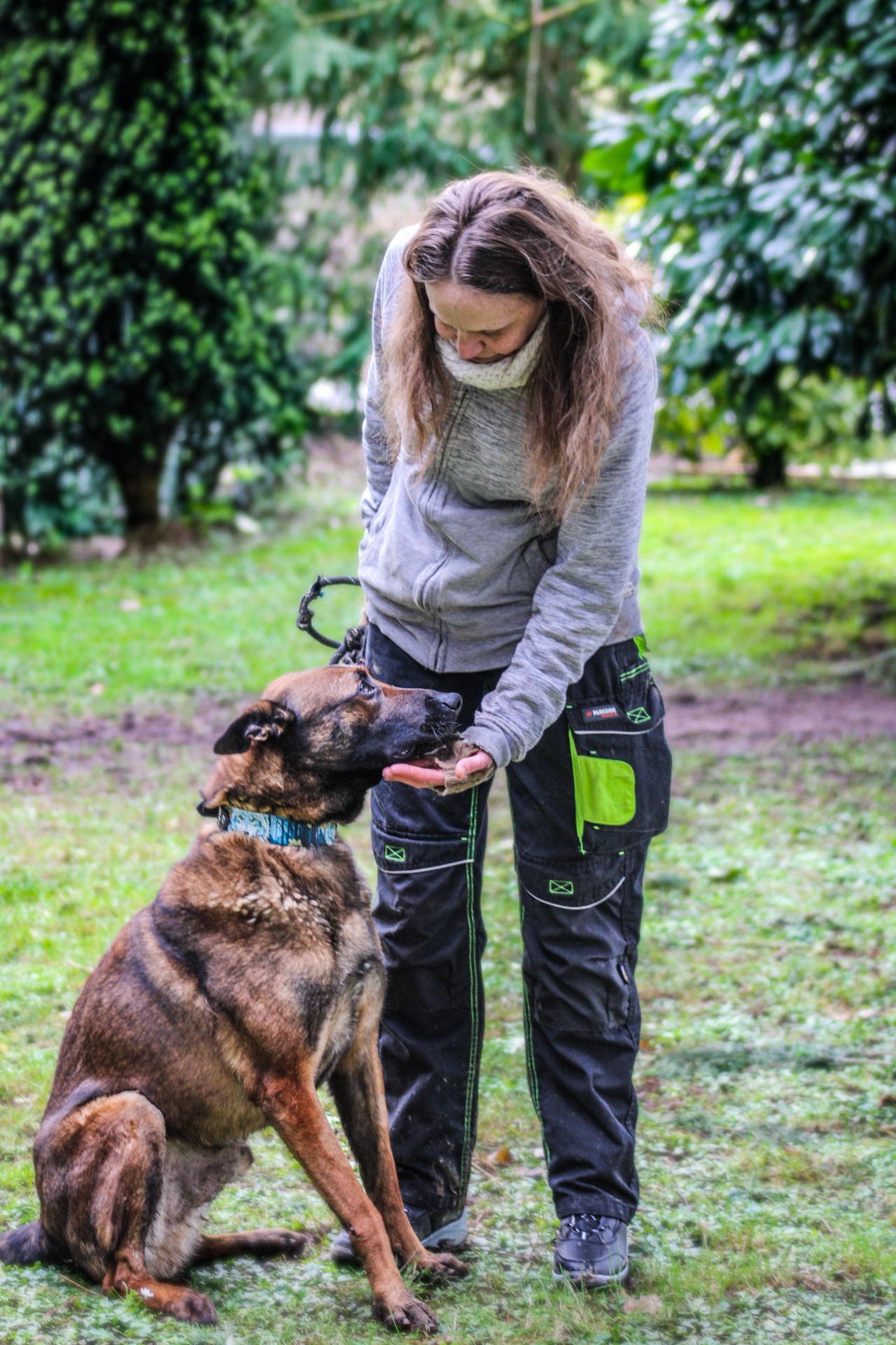 Photo de l'animal à adopté