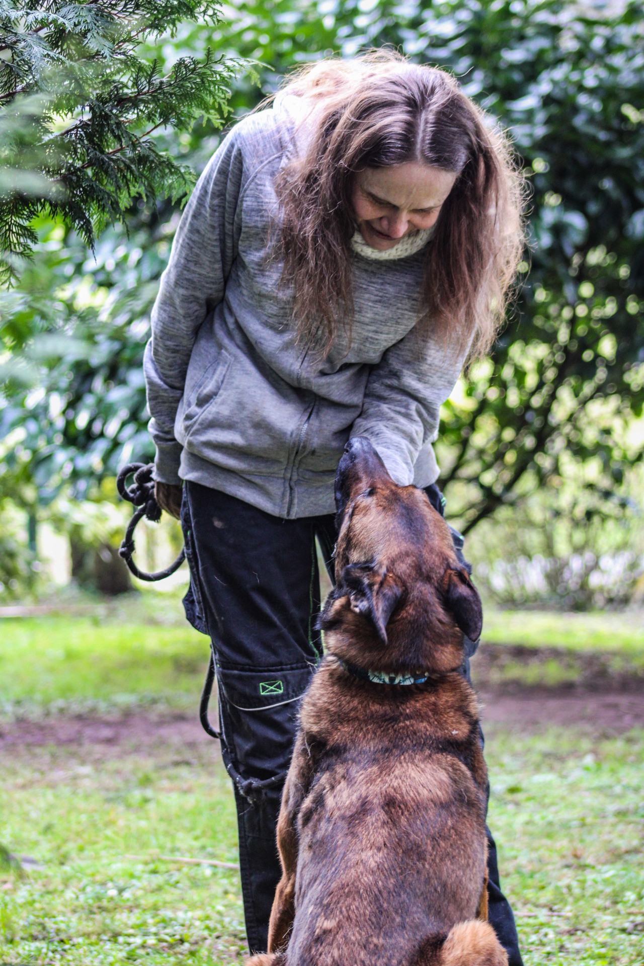 Photo de l'animal à adopté