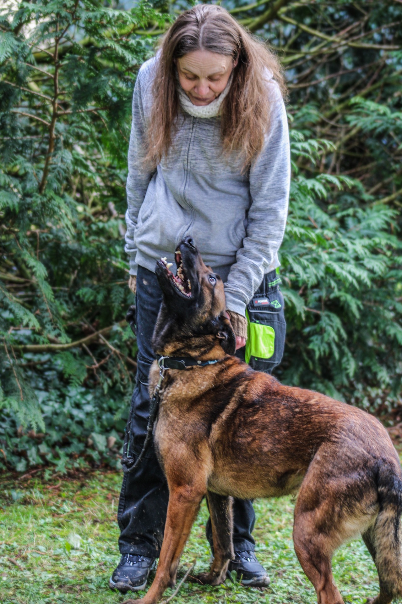 Photo de l'animal à adopté